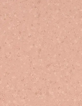 Linoleum Sphera Element