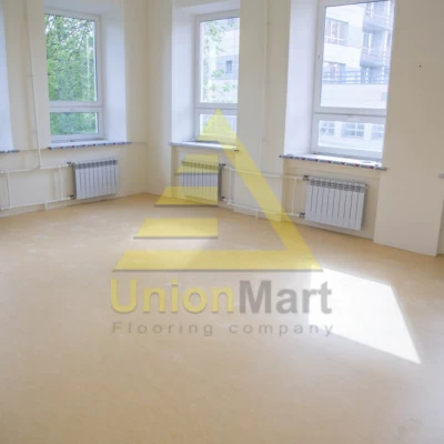 Ковчег Щелково